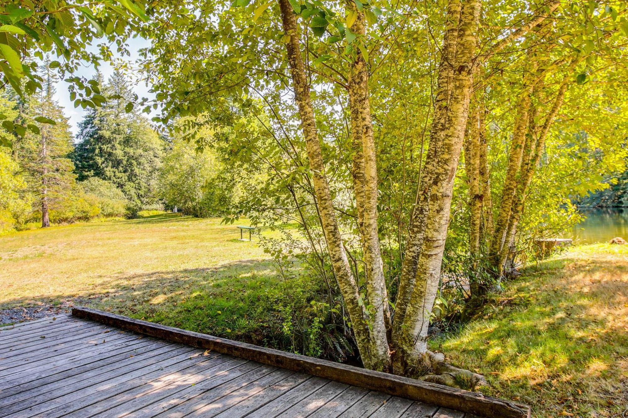 Quaint Ashford Studio Stay 5 Mi To Mt Rainier! Eksteriør billede